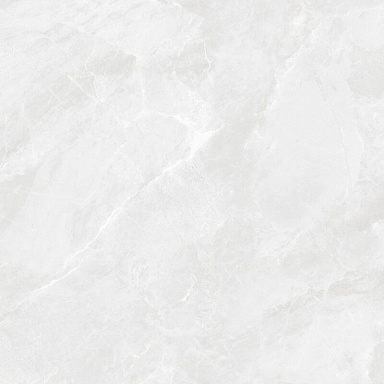 Керамогранит Ceradim CR6060G0391R8 Регнум Бианко светло-серый матовый 59.5х59.5