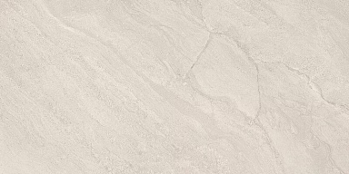 Керамогранит Provenza ENRJ Grigio Conchiglia Silktech Rett 60x120