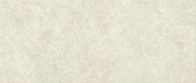 Плитка Atlas Concorde Italy AYQM Boost Icor Bone Field Matte 50x120