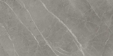 Керамогранит Atlas Concorde Italy A21M Marvel Grey Fleury Lappato 60x120