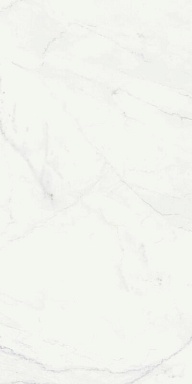 Керамогранит Italon 610015000494 Charme Deluxe Бьянко Микеланжело Пат Рет 60x120