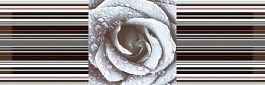 Декор Absolut Keramika DECOR ROSE 02 15X45