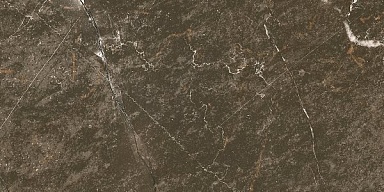 Керамогранит Ocean-Ceramic Baron Brown 60x120