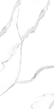 Керамогранит Artcer 889 Carrara White 9mm Poli 120x60
