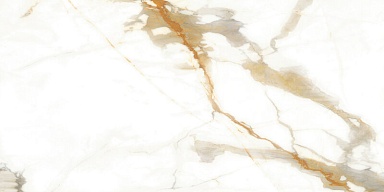 Керамогранит Alma Ceramica GFA114CLR04L Calacatta Oro 57x114