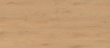 Керамогранит Atlas Concorde Italy AX26 Log Icon Oak Matt 6mm 120x278