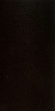 Керамогранит Casalgrande Padana 4796548 Architecture Black Gloss 9,5 мм 30x60