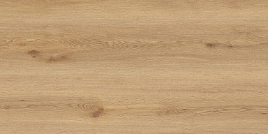 Керамогранит Global Tile GT5010026902MCR Вуди Бежевый 50x100