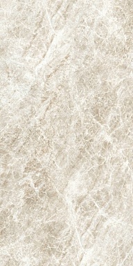 Керамогранит Cerim 784533 Iconic Life Honey Yamuna Grip 60x120