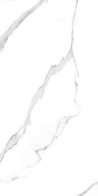 Керамогранит Artcer 889 Carrara White 9mm Poli 120x60