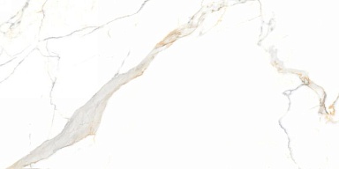 Керамогранит Neodom N40019 Statuario Platinum Carving 60x120