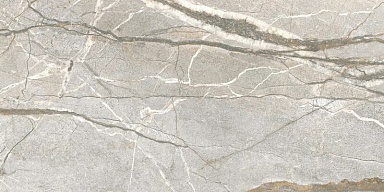 Керамогранит Flaviker PF60017241 Supreme Hedonism Silver Roots Lux 3D R 60x120