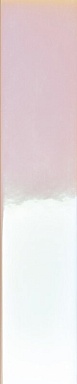 Плитка 41ZERO42 4100730 Rose Hologram Mix 5x25