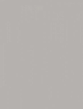 Плитка RAKO WAAKB010 CONCEPT Plus Grey 25x33