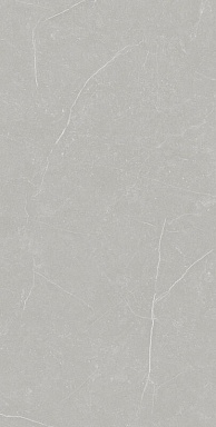 Керамогранит PrimaVera TP612M002 Фенгари матовый 60x120