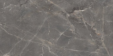 Керамогранит Ocean-Ceramic Tulip Grey Glossy 60x120