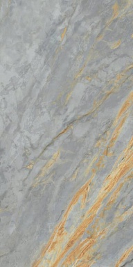 Керамогранит ABK PF60009119 Sensi Signoria Grigio Siena Lux R 60x120