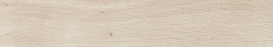 Керамогранит Prissmacer INGALLS ARCE 10x60