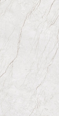 Керамогранит Arcadia Ceramica CR4014-A Meteria Silver Carving 60x120