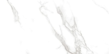 Керамогранит Neodom N20474 Statuario Irish Grey Polished 60x120