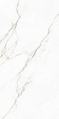 Керамогранит Tagina 127044 Segesta Caramel Nat Ret 60x120