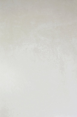 Керамогранит Arcadia Ceramica RT7002-A Cementum Bianco Matt Rustic 60x120