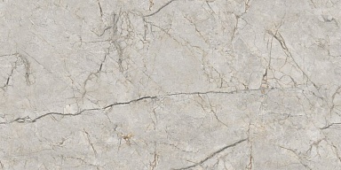 Керамогранит Eurotile 7930138703173 Dogma Grey Carving 60x120