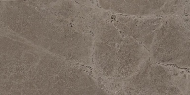 Керамогранит Mozart Iconic Truffle Matt 60x120