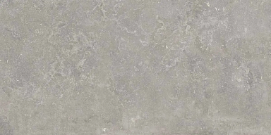 Керамогранит Ariana Ceramica 0012928 Memento Bruges Grey Nat Rett 60x120