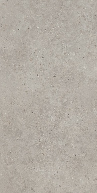 Керамогранит Kerama Marazzi SG519920R Риккарди серый светлый матовый обрезной 60х119,5