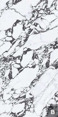 Керамогранит NT Ceramic NTT3013P (B) Tantai Jin Demon 120x240