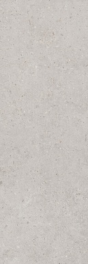 Плитка Kerama Marazzi 14053R Риккарди серый светлый матовый обрезной 40x120