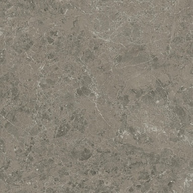 Керамогранит Atlas Concorde Italy AJI8 Marvel Meraviglia Grigio Elegante Lapp. 60x60