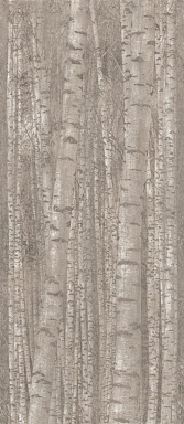 Декор Atlas Concorde Italy A0LW Boost Pro Grove 120x278