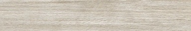 Керамогранит Absolut Gres AB 1169W Forest Essenze Grey 1200x200
