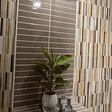 Tropic Mainzu