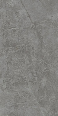 Плитка Kerama Marazzi 48021R Риальто серый тёмный глянцевый обрезной 40x80x1