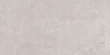 Керамогранит Neodom N20555 Aristo Grey Tm 60x120