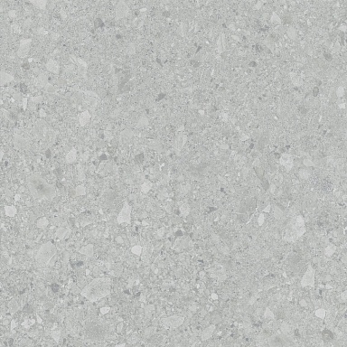 Керамогранит LB-Ceramics 6461-0425 Иней Tech Серый 60х60