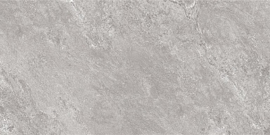 Керамогранит Global Tile GT5010027401MCR Виталити Серый 50x100