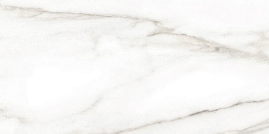 Плитка Alma Ceramica TWU2550EPH04 Euphoria 249x500x7