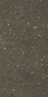 Керамогранит Casa Dolce Casa 785503 Rinascenza Arena Platino Grip 30x60