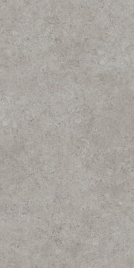 Керамогранит Kerama Marazzi DD590620R Про Лаймстоун АТ серый натуральный обрезной 119,5x238,5x0,9