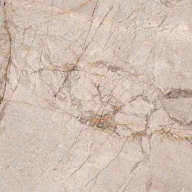 Alcarz Global Tile