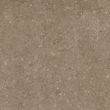 Керамогранит Гранитея G214МR Arkaim Brown 60x60