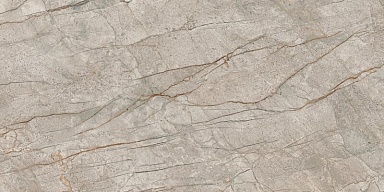 Керамогранит Атлас Конкорд Россия 610010002187 Empire Silver Root 60x120