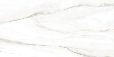 Плитка Alma Ceramica TWU2550EPH04 Euphoria 249x500x7