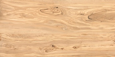 Керамогранит Casati Ceramica Alpine Natural Wood Matt 60x120