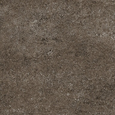 Керамогранит Casa Dolce Casa 768379 Sensi Brown Fossil Ret 80x80