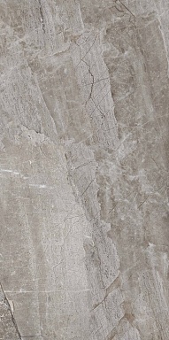 Керамогранит PrimaVera PR209 Essence Grey Polished 600x1200